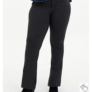 Torrid Stretch Trousers